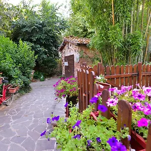 Loft In Antico Mulino Appartamento Isola d'Arbia